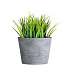 Кашпо CONCRETIKA CRATER CONCRETE GREY LIGHT D20H16 заказать и купить с доставкой из магазина производителя Конкретика по цене 5 850 руб.