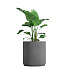 Кашпо CONCRETIKA CYLINDER XL LONDON GREY D80H85 заказать и купить с доставкой из магазина производителя Конкретика по цене 58 770 руб.