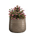 Кашпо CONCRETIKA CONE SMOKEY GREY D24H26 заказать и купить с доставкой из магазина производителя Конкретика по цене 6 650 руб.