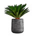 Кашпо CONCRETIKA CONE CONCRETE GREY DARK D50H54 заказать и купить с доставкой из магазина производителя Конкретика по цене 29 280 руб.