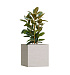 Кашпо CONCRETIKA CUBE EROSIA YELLOW 70x70x70 заказать и купить с доставкой из магазина производителя Конкретика по цене 62 990 руб.
