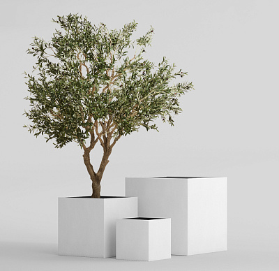 Кашпо CONCRETIKA CUBE SANTORINI 70x70x70 заказать и купить Кашпо CONCRETIKA CUBE SANTORINI 70x70x70 заказать и купить по цене 54 780 руб ниже рынка от производителя с доставкой.