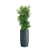 Кашпо CONCRETIKA CIGAR OCEAN GREEN D37H78 заказать и купить с доставкой из магазина производителя Конкретика по цене 26 080 руб.