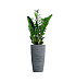 Кашпо CONCRETIKA CONUS EROSIA GREY D30H55 заказать и купить с доставкой из магазина производителя Конкретика по цене 12 750 руб.