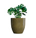 Кашпо CONCRETIKA VASE 3 AVOCADO D75H82 заказать и купить с доставкой из магазина производителя Конкретика по цене 57 140 руб.