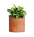 Кашпо CONCRETIKA CYLINDER RED CLAY D30H30 заказать и купить с доставкой из магазина производителя Конкретика по цене 10 020 руб.