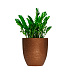 Кашпо CONCRETIKA VASE 3 RICH COOPER D60H65 заказать и купить с доставкой из магазина производителя Конкретика по цене 39 180 руб.