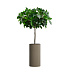 Кашпо CONCRETIKA CYLINDER OLIVE D30H60 заказать и купить с доставкой из магазина производителя Конкретика по цене 14 190 руб.