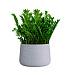 Кашпо CONCRETIKA CONE EROSIA WHITE D60H42 заказать и купить с доставкой из магазина производителя Конкретика по цене 27 570 руб.