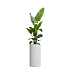 Кашпо CONCRETIKA CYLINDER SANTORINI D40H80 заказать и купить с доставкой из магазина производителя Конкретика по цене 22 950 руб.