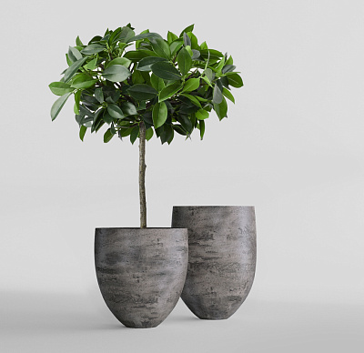 Кашпо CONCRETIKA BARREL CONCRETE GREY DARK D41H60 заказать и купить Кашпо CONCRETIKA BARREL CONCRETE GREY DARK D41H60 заказать и купить по цене 22 620 руб ниже рынка от производителя с доставкой.