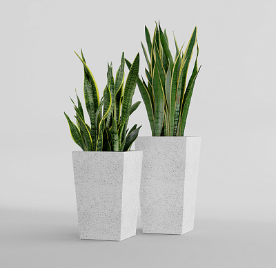Кашпо CONCRETIKA CONIC EGG WHITE 40x40x70 заказать и купить Кашпо CONCRETIKA CONIC EGG WHITE 40x40x70 заказать и купить по цене 24 390 руб ниже рынка от производителя с доставкой.