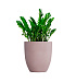 Кашпо CONCRETIKA VASE 3 COCOA D60H65 заказать и купить с доставкой из магазина производителя Конкретика по цене 34 050 руб.