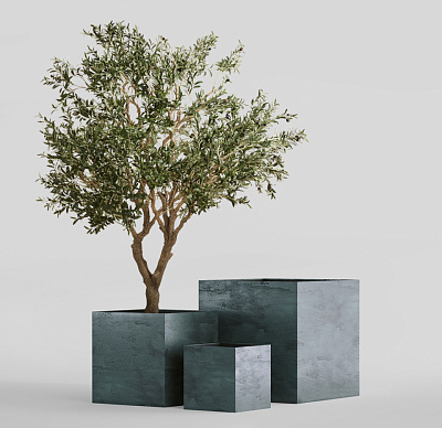 Кашпо CONCRETIKA CUBE OCEAN GREEN 80x80x80 заказать и купить Кашпо CONCRETIKA CUBE OCEAN GREEN 80x80x80 заказать и купить по цене 86 490 руб ниже рынка от производителя с доставкой.