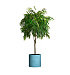 Кашпо CONCRETIKA CYLINDER BLUE SKY D45H45 заказать и купить с доставкой из магазина производителя Конкретика по цене 20 050 руб.