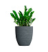 Кашпо CONCRETIKA VASE 3 EROSIA GREY D60H65 заказать и купить с доставкой из магазина производителя Конкретика по цене 39 180 руб.
