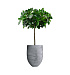 Кашпо CONCRETIKA BARREL CONCRETE GREY LIGHT D41H60 заказать и купить с доставкой из магазина производителя Конкретика по цене 22 620 руб.