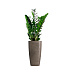 Кашпо CONCRETIKA CONUS SMOKEY GREY D30H55 заказать и купить с доставкой из магазина производителя Конкретика по цене 13 310 руб.