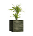 Кашпо CONCRETIKA CUBE CAYMAN GREEN 80x80x80 заказать и купить с доставкой из магазина производителя Конкретика по цене 82 890 руб.
