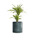 Кашпо CONCRETIKA CYLINDER OCEAN GREEN D60H65 заказать и купить с доставкой из магазина производителя Конкретика по цене 37 260 руб.
