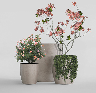 Кашпо CONCRETIKA VASE 3 CONCRETE WHITE D60H65 заказать и купить Кашпо CONCRETIKA VASE 3 CONCRETE WHITE D60H65 заказать и купить по цене 40 880 руб ниже рынка от производителя с доставкой.