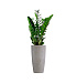 Кашпо CONCRETIKA CONUS CONCRETE WHITE D30H55 заказать и купить с доставкой из магазина производителя Конкретика по цене 13 310 руб.