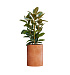 Кашпо CONCRETIKA CYLINDER RED CLAY D50H65 заказать и купить с доставкой из магазина производителя Конкретика по цене 31 330 руб.