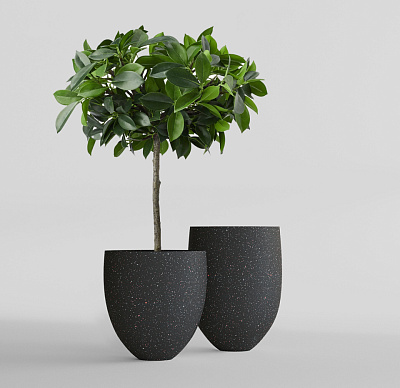 Кашпо CONCRETIKA BARREL EGG BLACK D41H60 заказать и купить Кашпо CONCRETIKA BARREL EGG BLACK D41H60 заказать и купить по цене 18 850 руб ниже рынка от производителя с доставкой.
