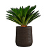 Кашпо CONCRETIKA CONE EROSIA BROWN D50H54 заказать и купить с доставкой из магазина производителя Конкретика по цене 27 570 руб.