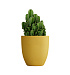 Кашпо CONCRETIKA VASE 3 GOLD D50H55 заказать и купить с доставкой из магазина производителя Конкретика по цене 22 950 руб.