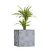 Кашпо CONCRETIKA CUBE CONCRETE GREY LIGHT 80x80x80 заказать и купить с доставкой из магазина производителя Конкретика по цене 86 490 руб.