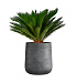 Кашпо CONCRETIKA CONE SMOKEY BLUE D50H54 заказать и купить с доставкой из магазина производителя Конкретика по цене 29 280 руб.