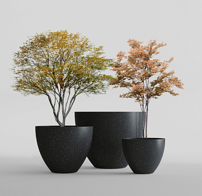 Кашпо CONCRETIKA UPON EGG BLACK D55H45 заказать и купить по цене 16 630 руб ниже рынка от производителя с доставкой.