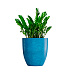 Кашпо CONCRETIKA VASE 3 COBALT BLUE D60H65 заказать и купить с доставкой из магазина производителя Конкретика по цене 38 510 руб.