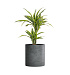 Кашпо CONCRETIKA CYLINDER SMOKEY BLUE D60H65 заказать и купить с доставкой из магазина производителя Конкретика по цене 37 260 руб.