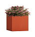Кашпо CONCRETIKA CUBE TERRACOTTA 30x30x30 заказать и купить с доставкой из магазина производителя Конкретика по цене 9 980 руб.