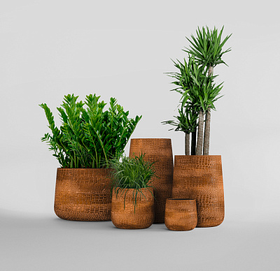 Кашпо CONCRETIKA CONE CAYMAN BROWN D32H36 заказать и купить Кашпо CONCRETIKA CONE CAYMAN BROWN D32H36 заказать и купить по цене 11 730 руб ниже рынка от производителя с доставкой.