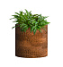 Кашпо CONCRETIKA CYLINDER CAYMAN BROWN D25H25 заказать и купить с доставкой из магазина производителя Конкретика по цене 6 380 руб.