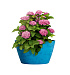 Кашпо CONCRETIKA BOWL COBALT BLUE D52H29 заказать и купить с доставкой из магазина производителя Конкретика по цене 12 530 руб.