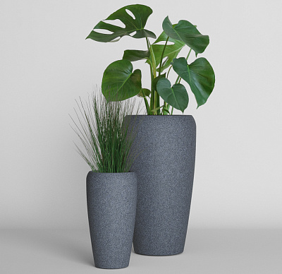 Кашпо CONCRETIKA ALTO BASALT 24(27)x50 заказать и купить Кашпо CONCRETIKA ALTO BASALT 24(27)x50 заказать и купить по цене 9 625 руб ниже рынка от производителя с доставкой.