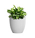 Кашпо CONCRETIKA VASE 3 SANTORINI D30H32 заказать и купить с доставкой из магазина производителя Конкретика по цене 9 320 руб.