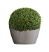 Кашпо CONCRETIKA BOWL CONCRETE WHITE D65H36 заказать и купить с доставкой из магазина производителя Конкретика по цене 19 960 руб.