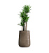 Кашпо CONCRETIKA CONE SMOKEY GREY D38H60 заказать и купить с доставкой из магазина производителя Конкретика по цене 25 280 руб.