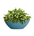 Кашпо CONCRETIKA BONSAY EROSIA BLUE D50H19 заказать и купить с доставкой из магазина производителя Конкретика по цене 13 400 руб.