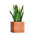 Кашпо CONCRETIKA CUBE RED CLAY 40x40x40 заказать и купить с доставкой из магазина производителя Конкретика по цене 16 450 руб.