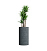 Кашпо CONCRETIKA CYLINDER EROSIA GREY D45H80 заказать и купить с доставкой из магазина производителя Конкретика по цене 33 150 руб.