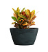 Кашпо CONCRETIKA BOWL OCEAN GREEN D80H45 заказать и купить с доставкой из магазина производителя Конкретика по цене 34 600 руб.