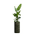 Кашпо CONCRETIKA CYLINDER CAYMAN GREEN D40H80 заказать и купить с доставкой из магазина производителя Конкретика по цене 26 400 руб.