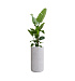 Кашпо CONCRETIKA TOPPER EGG WHITE D40H90 заказать и купить с доставкой из магазина производителя Конкретика по цене 26 610 руб.