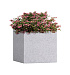 Кашпо CONCRETIKA CUBE EGG WHITE 30x30x30 заказать и купить с доставкой из магазина производителя Конкретика по цене 9 980 руб.
